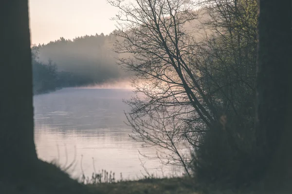 Belo rio nebuloso na floresta - efeito de filme vintage — Fotografia de Stock