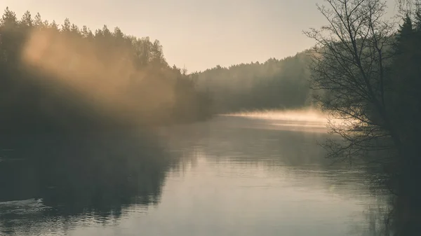 Красива туманна річка в лісі - вінтажний ефект плівки — стокове фото