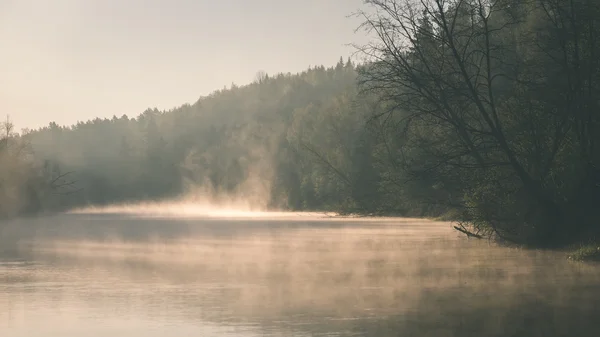 Belo rio nebuloso na floresta - efeito de filme vintage — Fotografia de Stock
