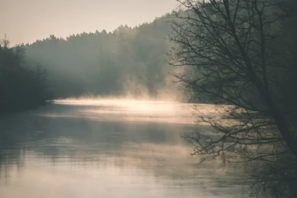 Mooie mistige rivier in bos - vintage film effect — Stockfoto