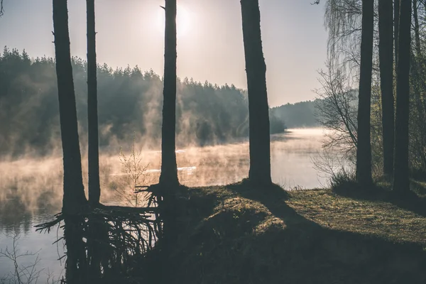 Beautiful foggy river in forest - vintage film effect — Stock Photo, Image