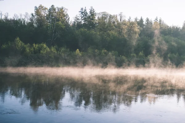 Красивая туманная река в лесу - эффект винтажной пленки — стоковое фото