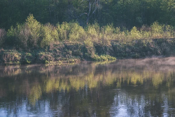 Bellissimo fiume nebbioso nella foresta effetto film vintage — Foto Stock