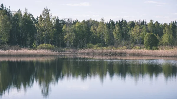 Vackra floden i skogen - vintage film effekt — Stockfoto