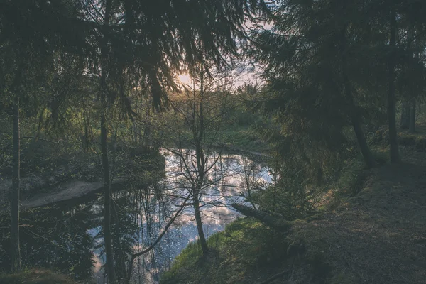 Красива річка в лісі - вінтажний ефект плівки — стокове фото