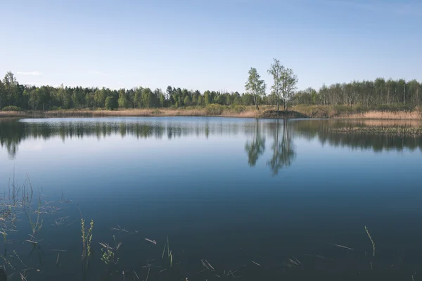 Piękne rzeki w lesie - efekt vintage filmu — Zdjęcie stockowe