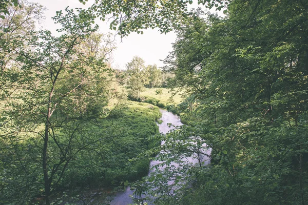 Belle rivière en forêt - effet film vintage — Photo