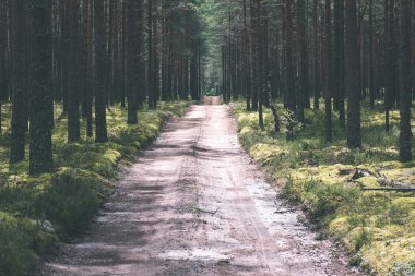 basit ülkede yol yaz - vintage film etkisi
