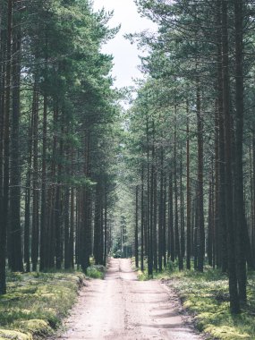 basit ülkede yol yaz - vintage film etkisi