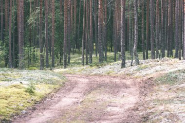 basit ülkede yol yaz - vintage film etkisi