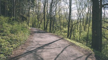 basit ülkede yol yaz - vintage film etkisi
