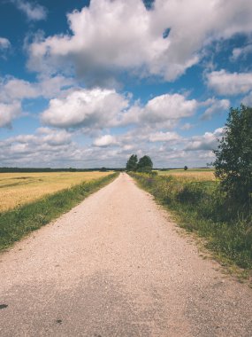basit ülkede yol yaz - vintage film etkisi