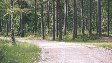 basit ülkede yol yaz - vintage film etkisi