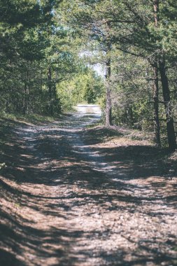 basit ülkede yol yaz - vintage film etkisi