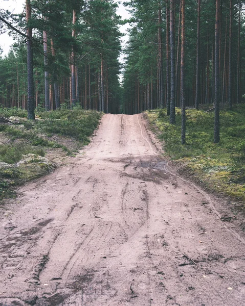 Semplice strada di campagna in estate effetto film vintage — Foto Stock