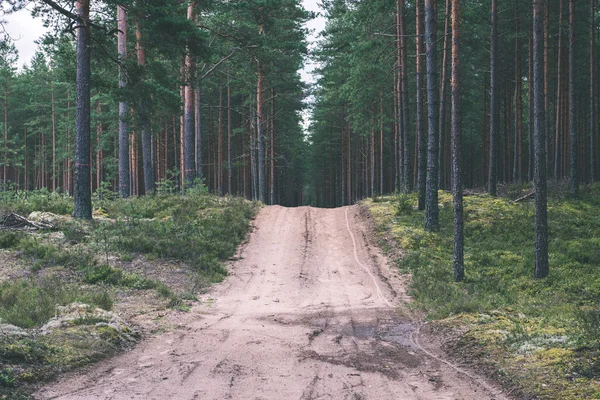 Semplice strada di campagna in estate effetto film vintage — Foto Stock