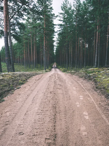 Semplice strada di campagna in estate effetto film vintage — Foto Stock