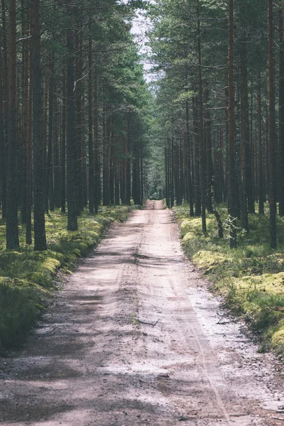 Semplice strada di campagna in estate effetto film vintage — Foto Stock