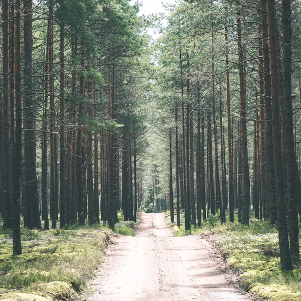 Eenvoudige landweg in de zomer - vintage film effect — Stockfoto