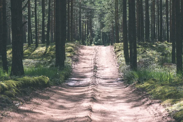 Camino de campo simple en verano - efecto de película vintage — Foto de Stock