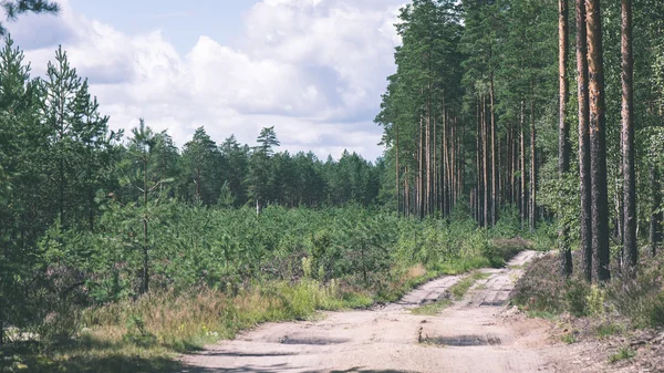 Semplice strada di campagna in estate effetto film vintage — Foto Stock