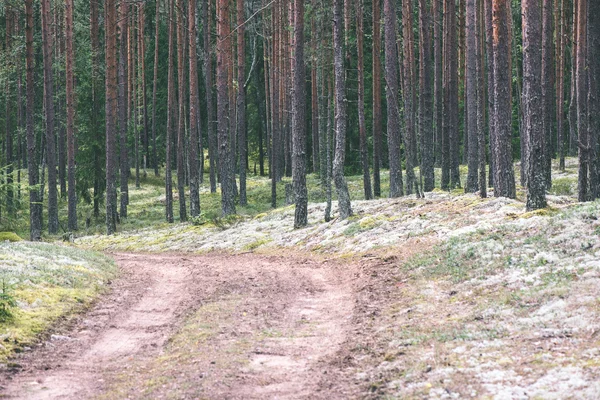 basit ülkede yol yaz - vintage film etkisi