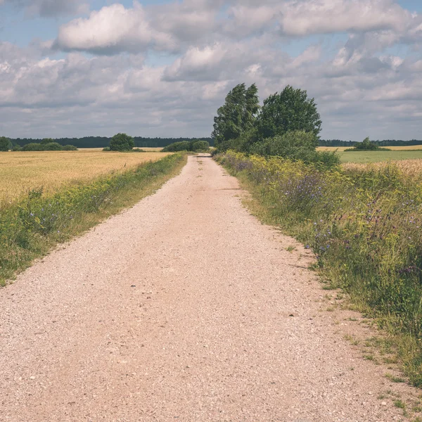 Camino de campo simple en verano - efecto de película vintage — Foto de Stock