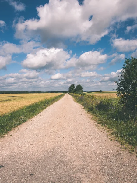 Simple country road in summer - vintage film effect — Stock Photo, Image