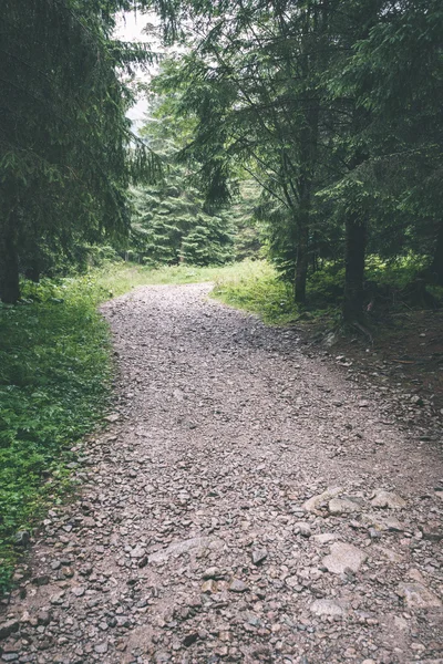 Camino de campo simple en verano - efecto de película vintage —  Fotos de Stock