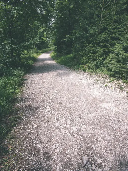 Route de campagne simple en été - effet film vintage — Photo