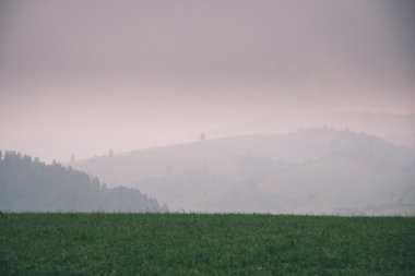 Karanlık fırtına bulutları yeşil çim - vintage etkisi ile çayır üzerinde