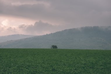 Karanlık fırtına bulutları yeşil çim - vintage etkisi ile çayır üzerinde