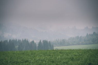 Karanlık fırtına bulutları yeşil çim - vintage etkisi ile çayır üzerinde