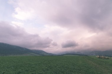 Karanlık fırtına bulutları yeşil çim - vintage etkisi ile çayır üzerinde