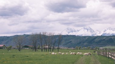 Karanlık fırtına bulutları yeşil çim - vintage etkisi ile çayır üzerinde