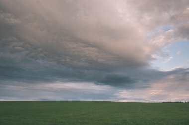 Karanlık fırtına bulutları yeşil çim - vintage etkisi ile çayır üzerinde