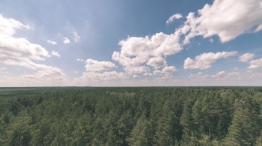 Orman - vintage etkisi üzerinde karanlık fırtına bulutları