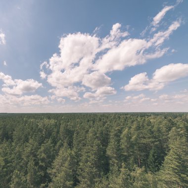 Orman - vintage etkisi üzerinde karanlık fırtına bulutları