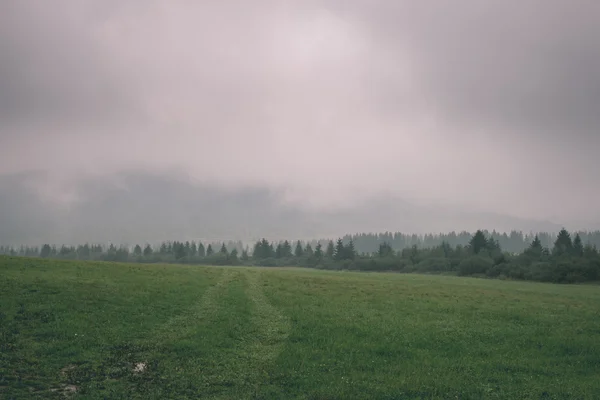 Nuvens tempestade escura sobre o prado com grama verde - efeito vintage — Fotografia de Stock