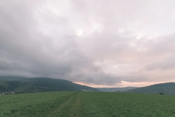 Nubes de tormenta oscura sobre el prado con hierba verde - efecto vintage —  Fotos de Stock