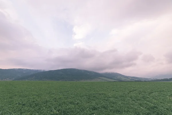 Nubes de tormenta oscura sobre el prado con hierba verde - efecto vintage —  Fotos de Stock