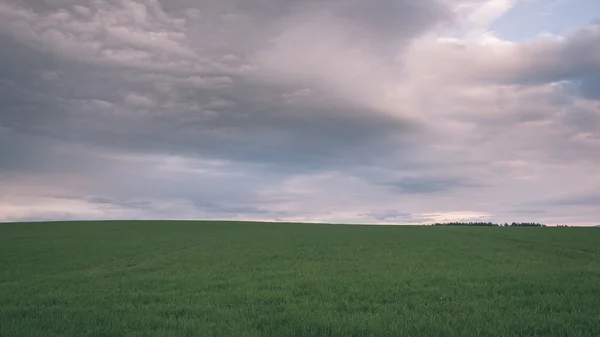Nuvens tempestade escura sobre o prado com grama verde - efeito vintage — Fotografia de Stock