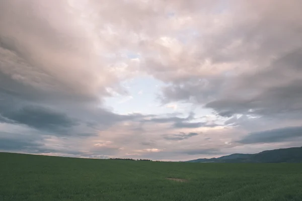 Dark storm clouds over meadow with green grass - vintage effect — Stock Photo, Image