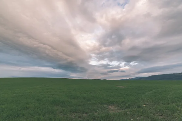 Nubes de tormenta oscura sobre el prado con hierba verde - efecto vintage —  Fotos de Stock