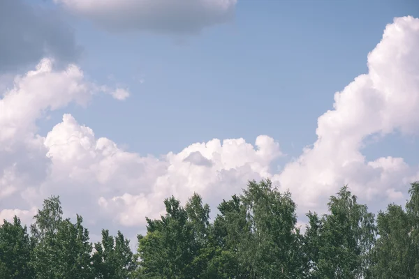 Donkere wolken over de weide met groen gras - vintage effect — Stockfoto