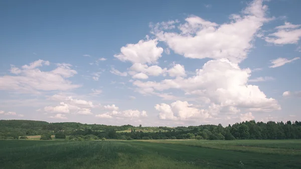 Ciemne chmury burzowe nad łąka z zielonej trawie - vintage efekt — Zdjęcie stockowe