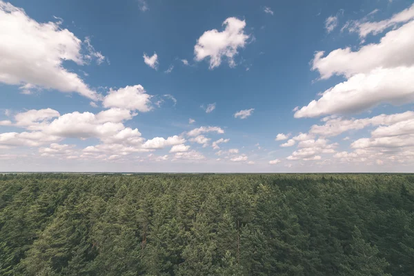 Dark storm clouds over forest - vintage effect — Stock Photo, Image