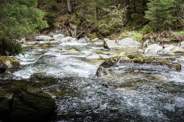 Berg rivier met rotsen en bomen — Stockfoto