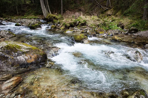 Waterval van ravijn — Stockfoto