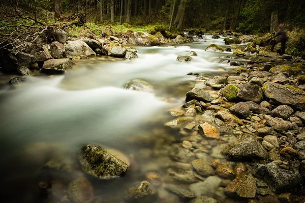 Fiume di montagna, lunga esposizione — Foto Stock